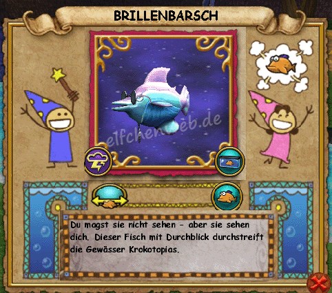 Brillenbarsch brillenbarsch