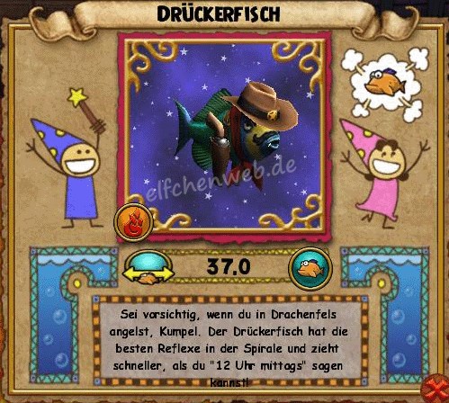 Drückerfisch Drücker-Fisch