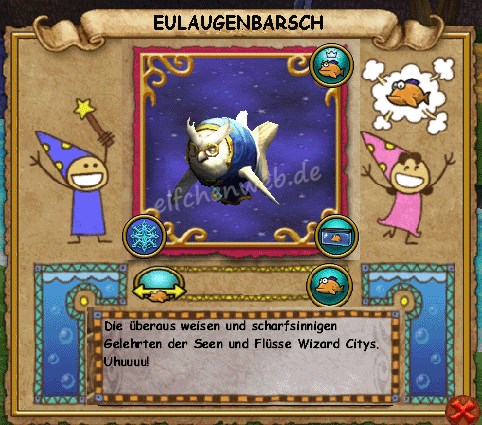 Eulaugenbarsch eulaugenbarsch