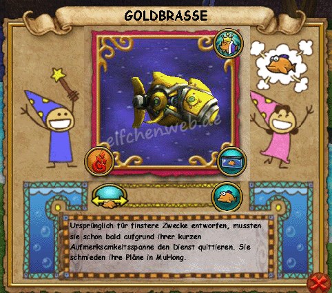 Goldbrasse goldbrasse
