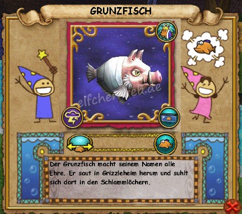 Grunzfisch grunzfisch