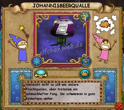 Johannisbeerqualle johannisbeerqualle