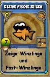 kleine fische zeigen