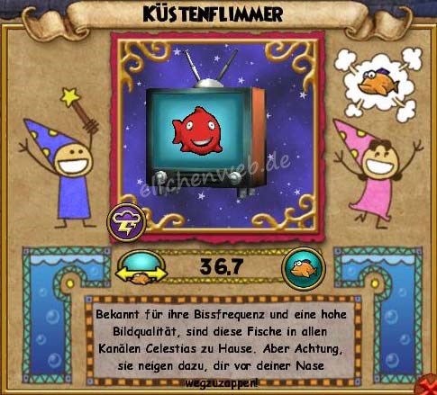 Küstenfllimmer küstenflimmer