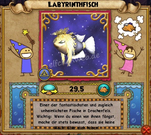 Labyrinthfisch Labyrinth-Fisch