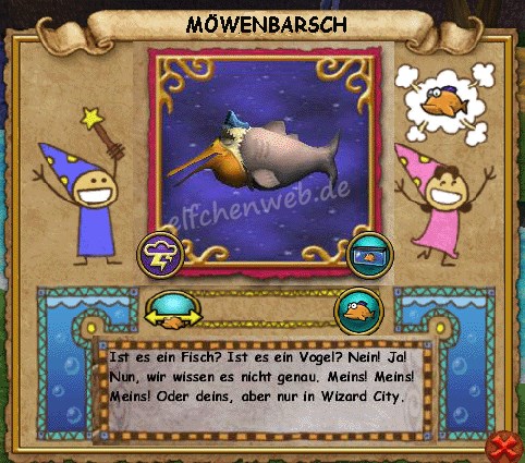 Möwenbarsch möwenbarsch