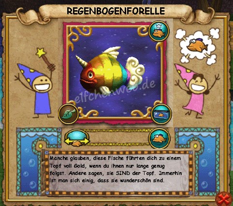 Regenbogenforelle regenbogenforelle