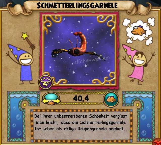 Schmetterlingsgarnele schmetterlingsgarnele