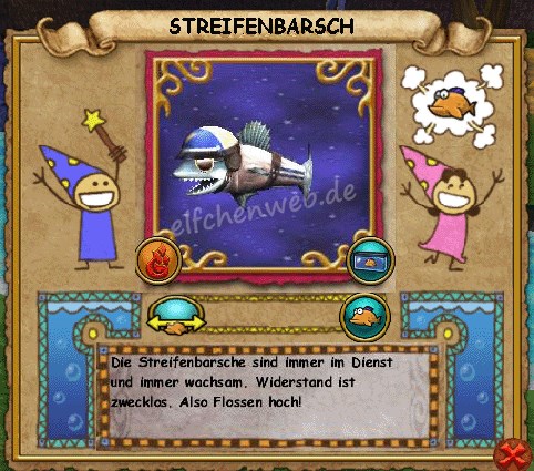 Streifenbarsch streifenbarsch