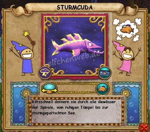Sturmcuda sturmcuda