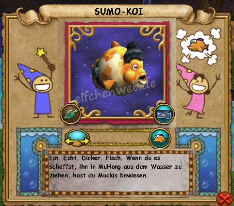 Sumo-Koi sumo-Koi