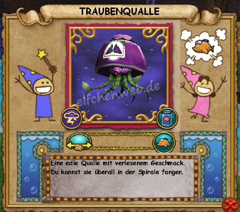 Traubenqualle traubenqualle