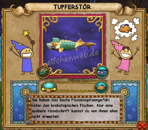 Tupferstör tupferstör