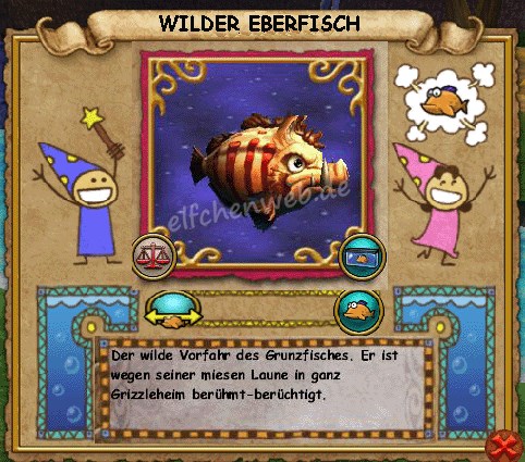 Wilder Eberfisch wilder Eberfisch