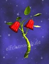 Rotes Pfefferglöckchen Pfefferglöckchen
