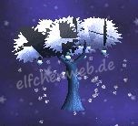Schneeapfelbaum schneeapfelbaum