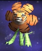 tigerlilie