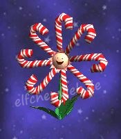 Zuckersternchen Zucker-Sternchen