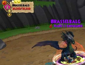 Brasselbalg brasselbalg