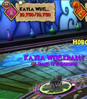 Kayla Weißkralle kayla Weißkralle