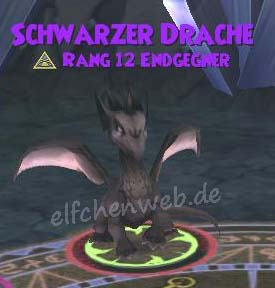 schwarzer drache