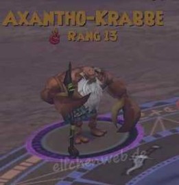 Axantho-Krabbe axantho-krabbe