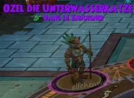 Ozel die Unterwasserkatze ozel die unterwasserkatze