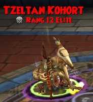 Tzeltan Kohort tzeltan kohort