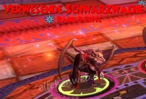 Verwesende Schwarzwache verwesende schwarzwache