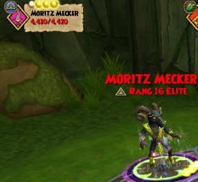 moritz mecker (elite)