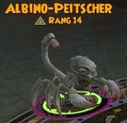 Albino-Peitscher albino-peitscher