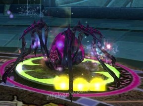 Bemalte Spinne bemalte spinne