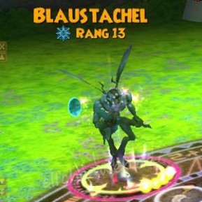 Blaustachel blaustachel