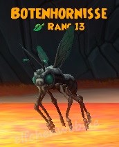 Botenhornisse botenhornisse