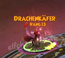 Drachenkäfer drachenkäfer