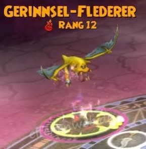Gerinnsel-Flederer gerinnsel-flederer