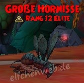 Große Hornisse große hornisse
