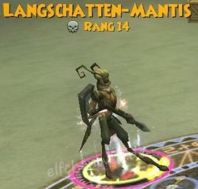 Langschatten-Mantis langschatten-Mantis