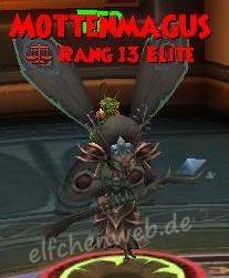 Mottenmagus mottenmagus