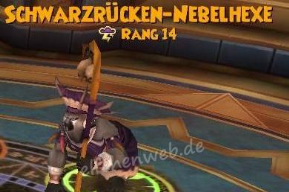 Schwarzrücken-Nebelhexe schwarzrücken-nebelhexe