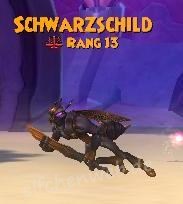 Schwarzschild schwarzschild