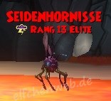 Seidenhornisse seidenhornisse