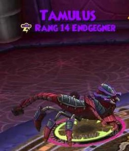 Tamulus tamulus