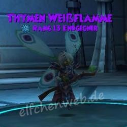 Thymen Weißflamme thymen weißflamme