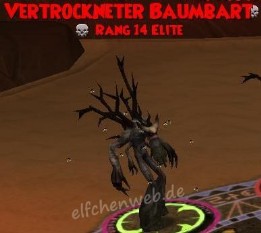 Vertrockneter Baumbart vertrockneter baumbart