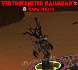 vertrockneter baumbart