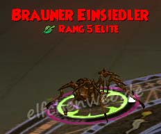 Brauner Einsiedler brauner Einsiedler