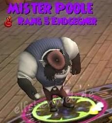 Mister Poole mister Poole