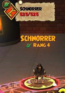 Schnorrer schnorrer
