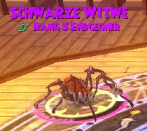 Schwarze Witwe schwarze Witwe